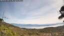 ./images/calvert/fitz-hugh-hecate/20260501/fitz-hugh-hecate20260501_122001M.jpg