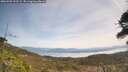 ./images/calvert/fitz-hugh-hecate/20260501/fitz-hugh-hecate20260501_122501M.jpg