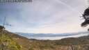 ./images/calvert/fitz-hugh-hecate/20260501/fitz-hugh-hecate20260501_123001M.jpg