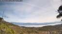 ./images/calvert/fitz-hugh-hecate/20260501/fitz-hugh-hecate20260501_123502M.jpg