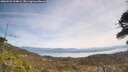 ./images/calvert/fitz-hugh-hecate/20260501/fitz-hugh-hecate20260501_124001M.jpg