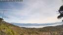 ./images/calvert/fitz-hugh-hecate/20260501/fitz-hugh-hecate20260501_124502M.jpg