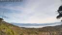 ./images/calvert/fitz-hugh-hecate/20260501/fitz-hugh-hecate20260501_125501M.jpg