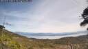 ./images/calvert/fitz-hugh-hecate/20260501/fitz-hugh-hecate20260501_130001M.jpg