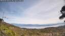 ./images/calvert/fitz-hugh-hecate/20260501/fitz-hugh-hecate20260501_132501M.jpg