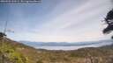 ./images/calvert/fitz-hugh-hecate/20260501/fitz-hugh-hecate20260501_134501M.jpg
