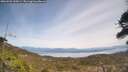 ./images/calvert/fitz-hugh-hecate/20260501/fitz-hugh-hecate20260501_135001M.jpg