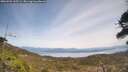 ./images/calvert/fitz-hugh-hecate/20260501/fitz-hugh-hecate20260501_135501M.jpg