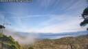 ./images/calvert/fitz-hugh-hecate/20260501/fitz-hugh-hecate20260501_152501M.jpg