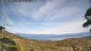 ./images/calvert/fitz-hugh-hecate/20260501/fitz-hugh-hecate20260501_154501M.jpg