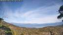 ./images/calvert/fitz-hugh-hecate/20260501/fitz-hugh-hecate20260501_161001M.jpg