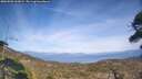 ./images/calvert/fitz-hugh-hecate/20260501/fitz-hugh-hecate20260501_162001M.jpg