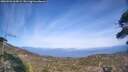 ./images/calvert/fitz-hugh-hecate/20260501/fitz-hugh-hecate20260501_165001M.jpg