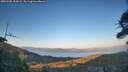 ./images/calvert/fitz-hugh-hecate/20260501/fitz-hugh-hecate20260501_202002M.jpg