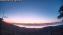 ./images/calvert/fitz-hugh-hecate/20260502/fitz-hugh-hecate20260502_053001M.jpg