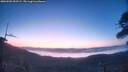./images/calvert/fitz-hugh-hecate/20260502/fitz-hugh-hecate20260502_053502M.jpg