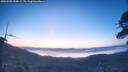 ./images/calvert/fitz-hugh-hecate/20260502/fitz-hugh-hecate20260502_054501M.jpg