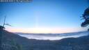 ./images/calvert/fitz-hugh-hecate/20260502/fitz-hugh-hecate20260502_055001M.jpg