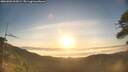 ./images/calvert/fitz-hugh-hecate/20260502/fitz-hugh-hecate20260502_065001M.jpg