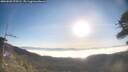 ./images/calvert/fitz-hugh-hecate/20260502/fitz-hugh-hecate20260502_075501M.jpg