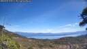 ./images/calvert/fitz-hugh-hecate/20260502/fitz-hugh-hecate20260502_125501M.jpg