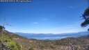 ./images/calvert/fitz-hugh-hecate/20260502/fitz-hugh-hecate20260502_135501M.jpg