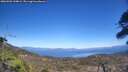 ./images/calvert/fitz-hugh-hecate/20260502/fitz-hugh-hecate20260502_144001M.jpg