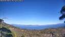 ./images/calvert/fitz-hugh-hecate/20260502/fitz-hugh-hecate20260502_154001M.jpg