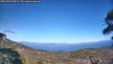 ./images/calvert/fitz-hugh-hecate/20260502/fitz-hugh-hecate20260502_163501M.jpg