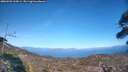 ./images/calvert/fitz-hugh-hecate/20260502/fitz-hugh-hecate20260502_164501M.jpg