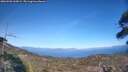 ./images/calvert/fitz-hugh-hecate/20260502/fitz-hugh-hecate20260502_165002M.jpg