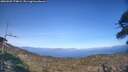 ./images/calvert/fitz-hugh-hecate/20260502/fitz-hugh-hecate20260502_174001M.jpg