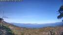 ./images/calvert/fitz-hugh-hecate/20260502/fitz-hugh-hecate20260502_174501M.jpg