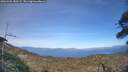 ./images/calvert/fitz-hugh-hecate/20260502/fitz-hugh-hecate20260502_180501M.jpg