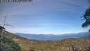 ./images/calvert/fitz-hugh-hecate/20260502/fitz-hugh-hecate20260502_181001M.jpg