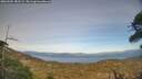 ./images/calvert/fitz-hugh-hecate/20260502/fitz-hugh-hecate20260502_182501M.jpg