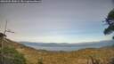 ./images/calvert/fitz-hugh-hecate/20260502/fitz-hugh-hecate20260502_183001M.jpg