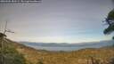 ./images/calvert/fitz-hugh-hecate/20260502/fitz-hugh-hecate20260502_183501M.jpg