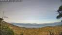 ./images/calvert/fitz-hugh-hecate/20260502/fitz-hugh-hecate20260502_184001M.jpg