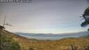 ./images/calvert/fitz-hugh-hecate/20260502/fitz-hugh-hecate20260502_184501M.jpg