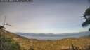 ./images/calvert/fitz-hugh-hecate/20260502/fitz-hugh-hecate20260502_185001M.jpg