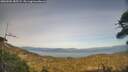 ./images/calvert/fitz-hugh-hecate/20260502/fitz-hugh-hecate20260502_185501M.jpg