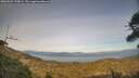 ./images/calvert/fitz-hugh-hecate/20260502/fitz-hugh-hecate20260502_190001M.jpg