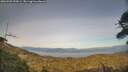 ./images/calvert/fitz-hugh-hecate/20260502/fitz-hugh-hecate20260502_190501M.jpg
