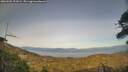 ./images/calvert/fitz-hugh-hecate/20260502/fitz-hugh-hecate20260502_191001M.jpg