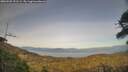 ./images/calvert/fitz-hugh-hecate/20260502/fitz-hugh-hecate20260502_191501M.jpg