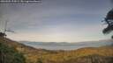 ./images/calvert/fitz-hugh-hecate/20260502/fitz-hugh-hecate20260502_193002M.jpg