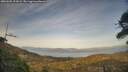 ./images/calvert/fitz-hugh-hecate/20260502/fitz-hugh-hecate20260502_194502M.jpg