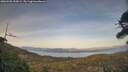 ./images/calvert/fitz-hugh-hecate/20260502/fitz-hugh-hecate20260502_200001M.jpg