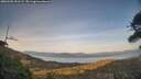./images/calvert/fitz-hugh-hecate/20260502/fitz-hugh-hecate20260502_201501M.jpg